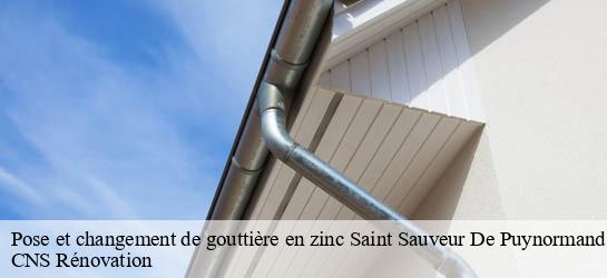 Pose et changement de gouttière en zinc  33660