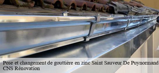 Pose et changement de gouttière en zinc  33660