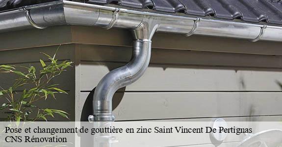 Pose et changement de gouttière en zinc  saint-vincent-de-pertignas-33420 CNS Rénovation