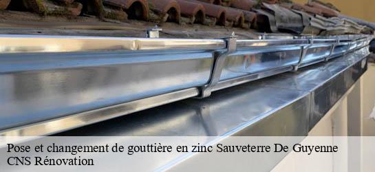 Pose et changement de gouttière en zinc  33540