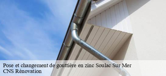 Pose et changement de gouttière en zinc  33780