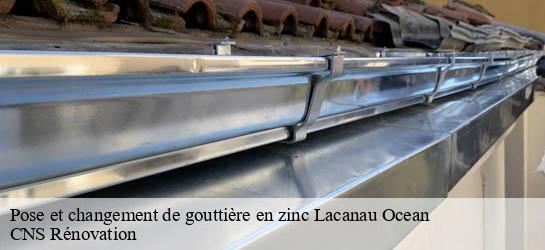 Pose et changement de gouttière en zinc  33680