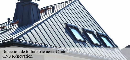 Réfection de toiture bac acier  33760