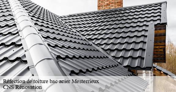 Réfection de toiture bac acier  mesterrieux-33540 CNS Rénovation