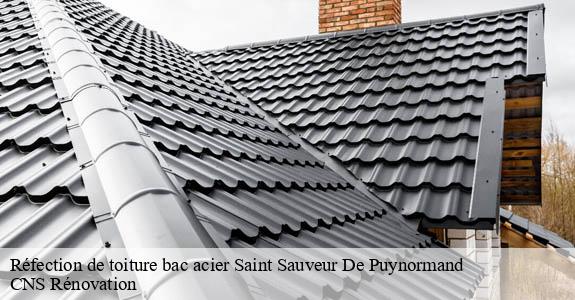 Réfection de toiture bac acier  saint-sauveur-de-puynormand-33660 CNS Rénovation