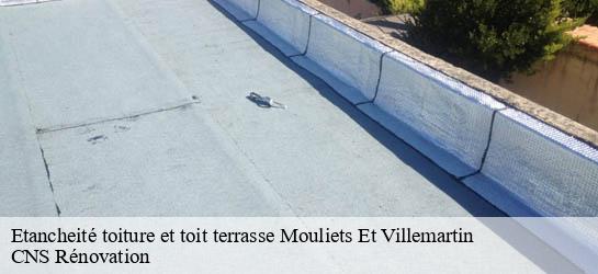 Etancheité toiture et toit terrasse  33350