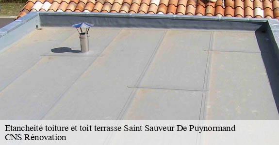 Etancheité toiture et toit terrasse  saint-sauveur-de-puynormand-33660 CNS Rénovation