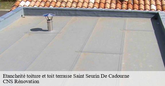 Etancheité toiture et toit terrasse  saint-seurin-de-cadourne-33180 CNS Rénovation