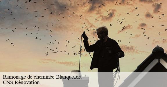 Ramonage de cheminée 33290