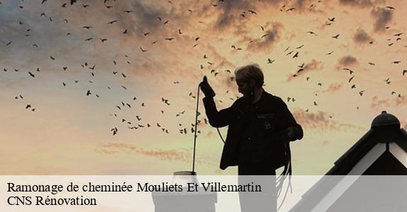 Ramonage de cheminée  33350