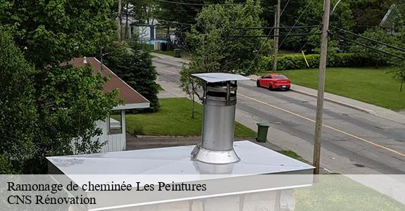 Ramonage de cheminée  33230