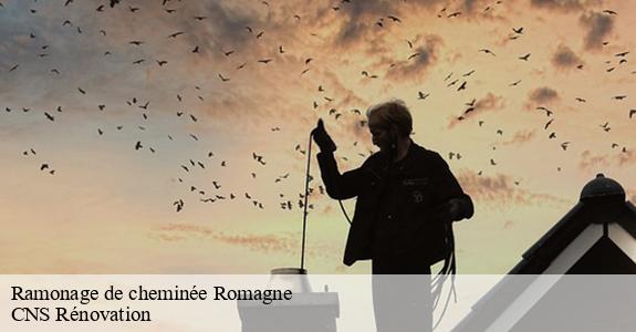 Ramonage de cheminée  33760