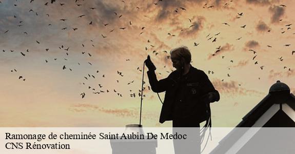 Ramonage de cheminée  33160