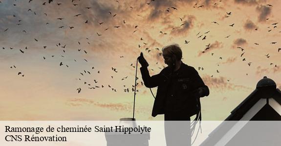 Ramonage de cheminée 33330